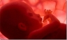 Καταψυγμένα έμβρυα. Μια άγνωστη γενοκτονία το 1996…