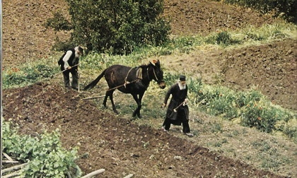 Ο αγιασμός της εργασίας (Όσιος Παΐσιος)