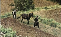 Ο αγιασμός της εργασίας (Όσιος Παΐσιος)