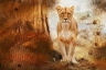 Το «κήρυγμα» τον λιονταριού!